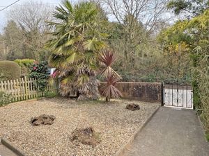 Photo 11- click for photo gallery